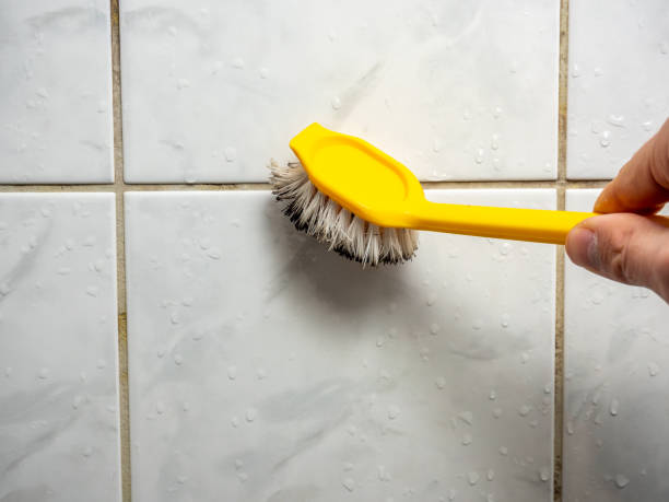 Rio Del Mar, CA Mold Remediation Company